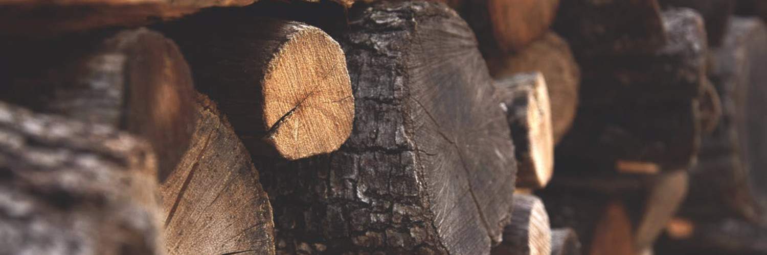 LIGNOALP – DAMIANI-HOLZ&KO AG Cover