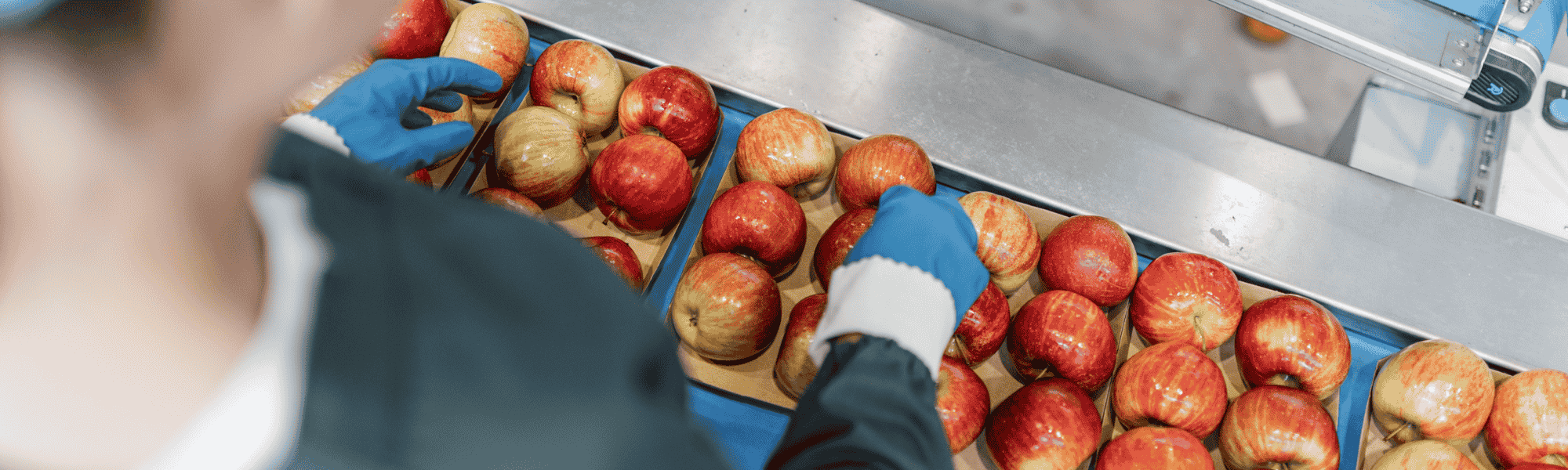 Pomus Obstgenossenschaft Cover