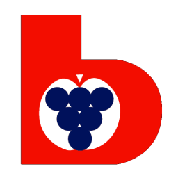 Suedtiroler Beratungsring